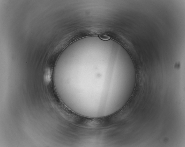 X0000114990075200911091345