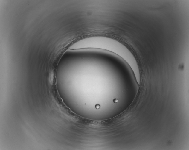 X0000114990076200911091345
