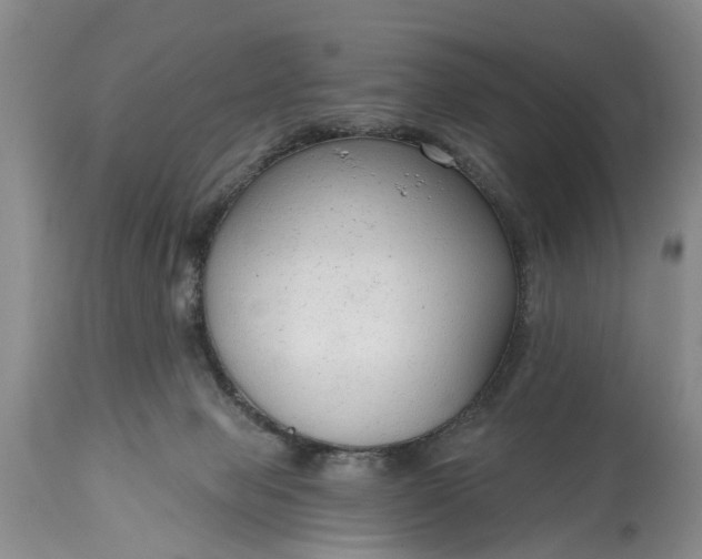 X0000114990077200911091345