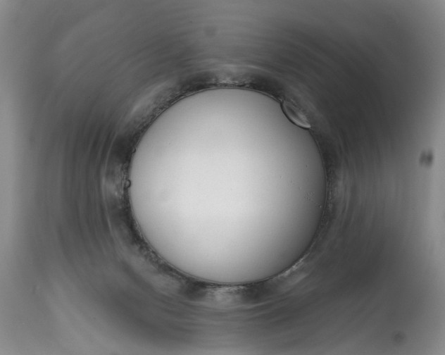 X0000114990078200911091345
