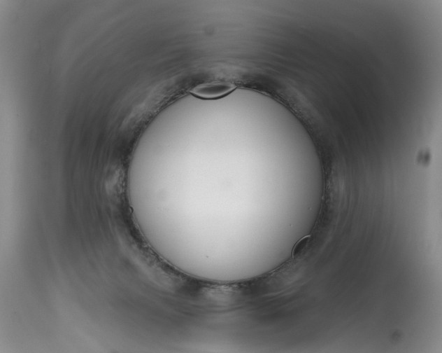 X0000114990079200911091345
