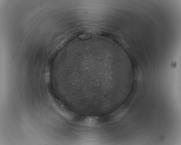 X0000114990080200911091345