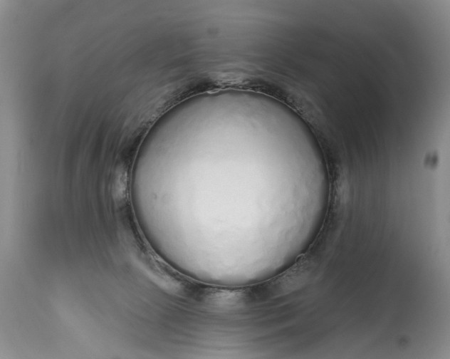 X0000114990081200911091345