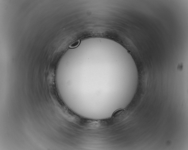 X0000114990083200911091345