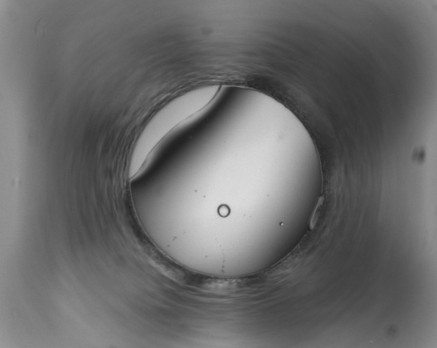 X0000114990084200911091345