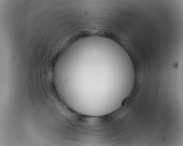 X0000114990085200911091345