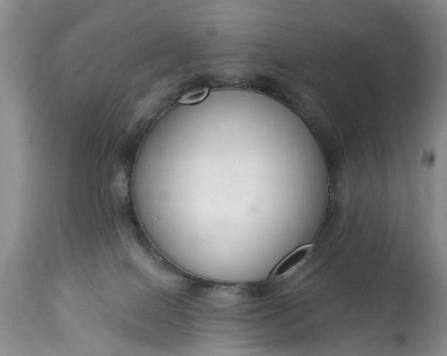 X0000114990086200911091345