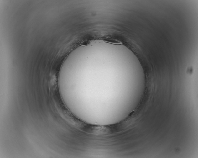 X0000114990087200911091345
