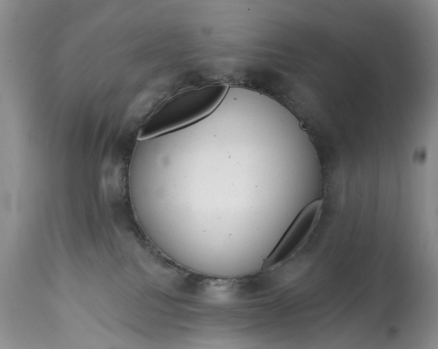 X0000114990088200911091345
