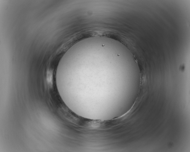 X0000114990094200911091345