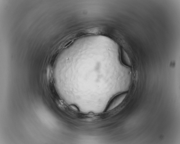 X0000114990095200911091345