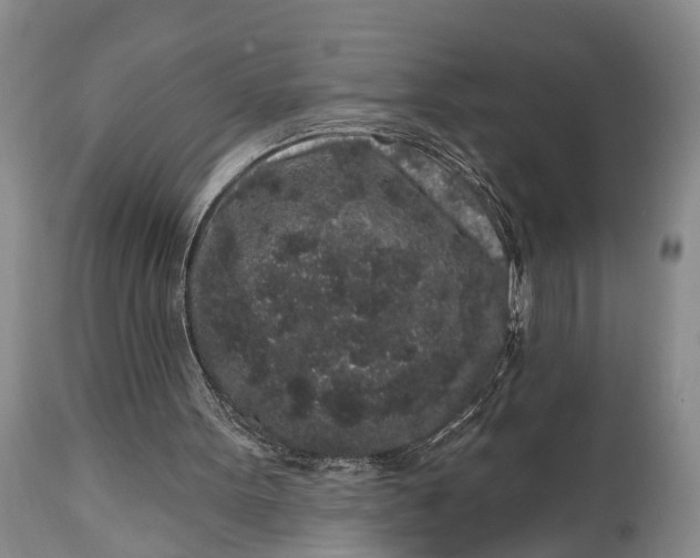 X0000114990099200911091344