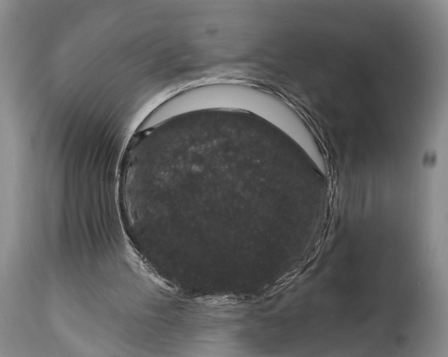 X0000114990100200911091344