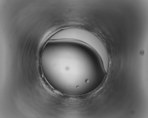 X0000114990101200911091344