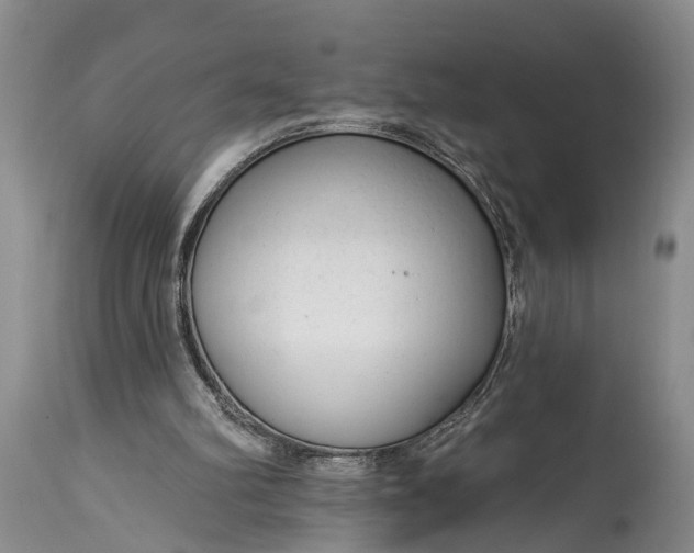 X0000114990102200911091344