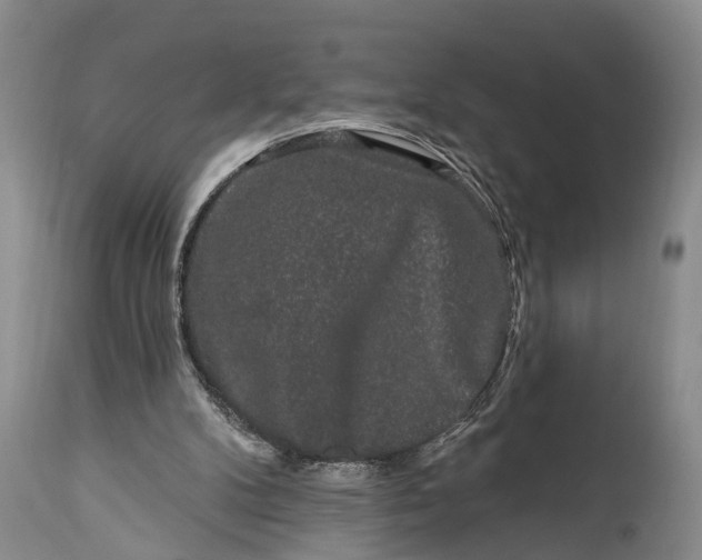 X0000114990104200911091344