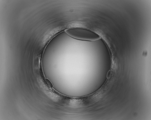 X0000114990109200911091344