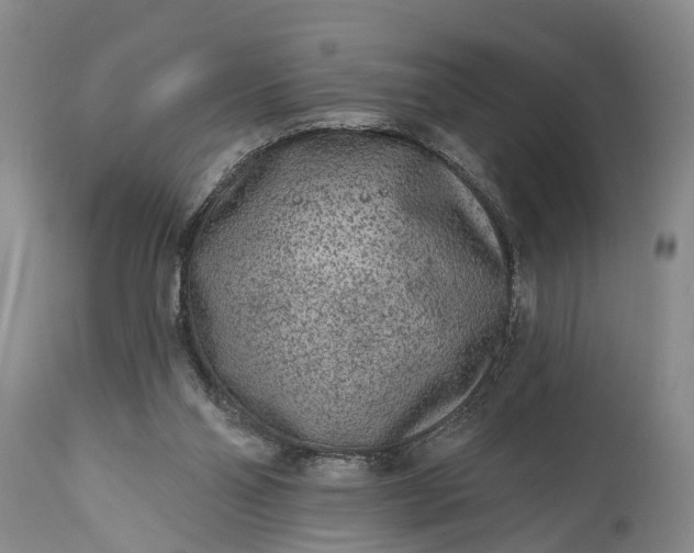 X0000114990110200911091344