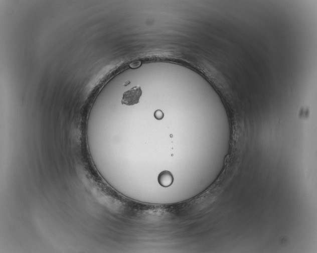 X0000114990112200911091344