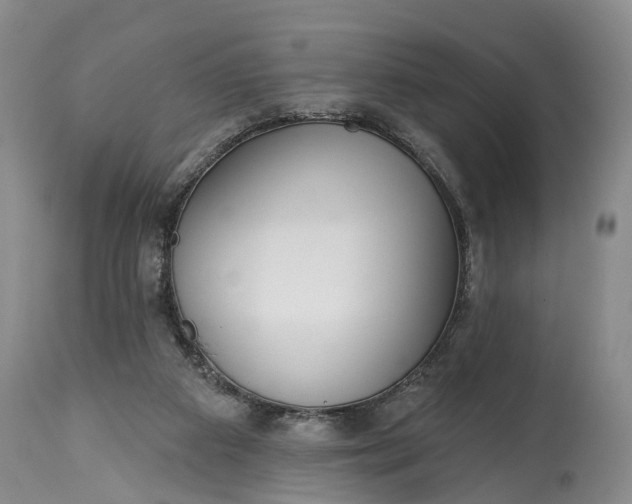 X0000114990113200911091344