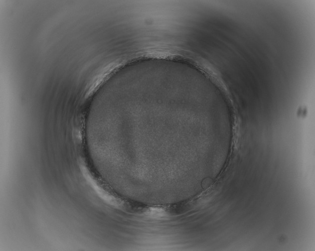 X0000114990114200911091344