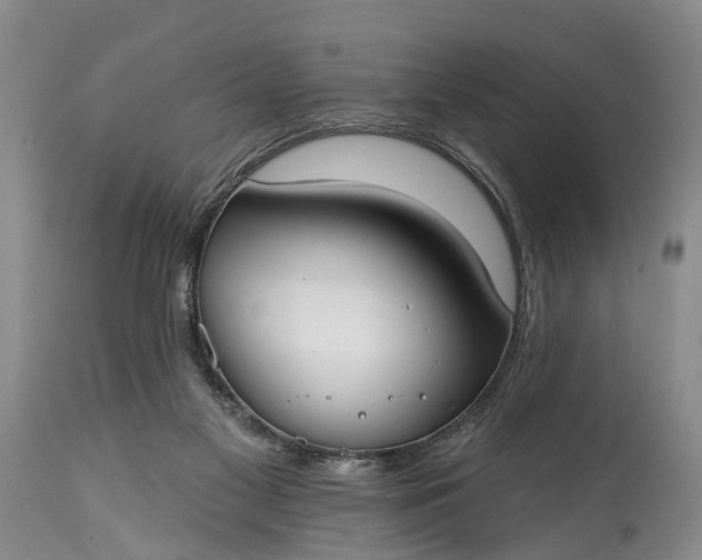 X0000114990117200911091344