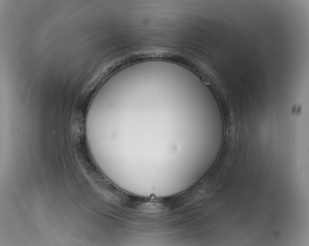 X0000114990119200911091344