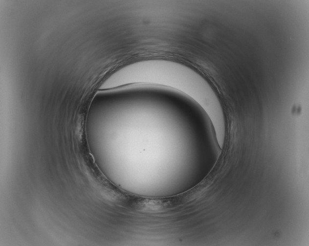 X0000114990121200911091344