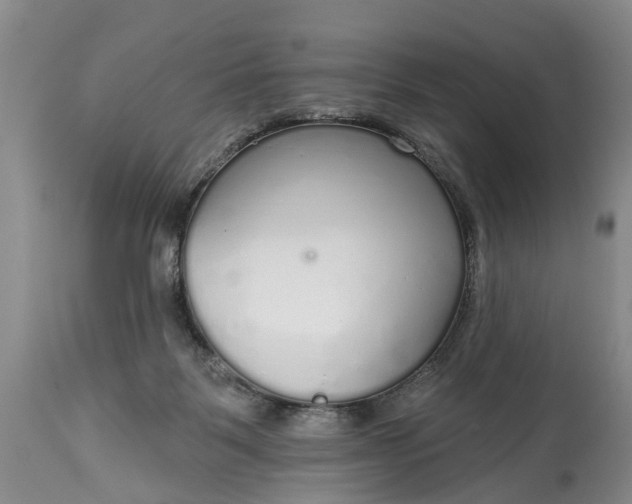 X0000114990123200911091344