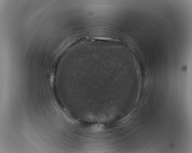 X0000114990124200911091344