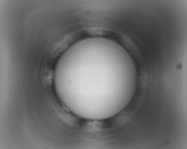 X0000114990125200911091344