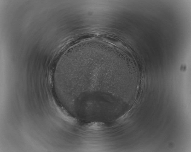 X0000114990128200911091344