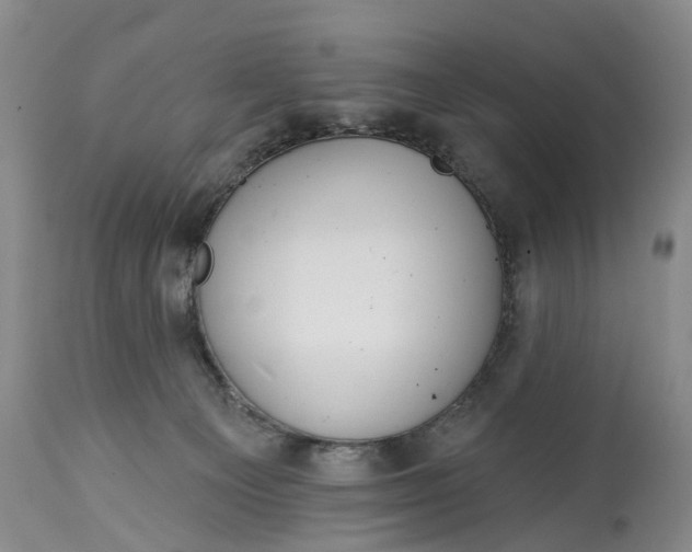 X0000114990129200911091344