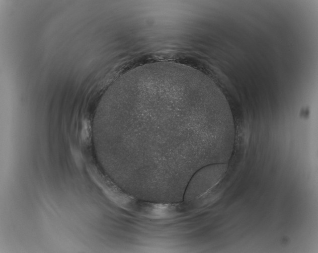 X0000114990130200911091344