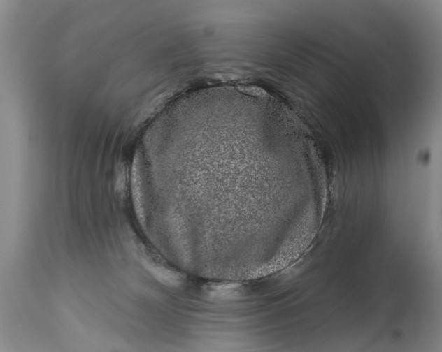 X0000114990132200911091344