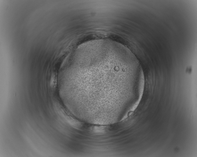 X0000114990134200911091344