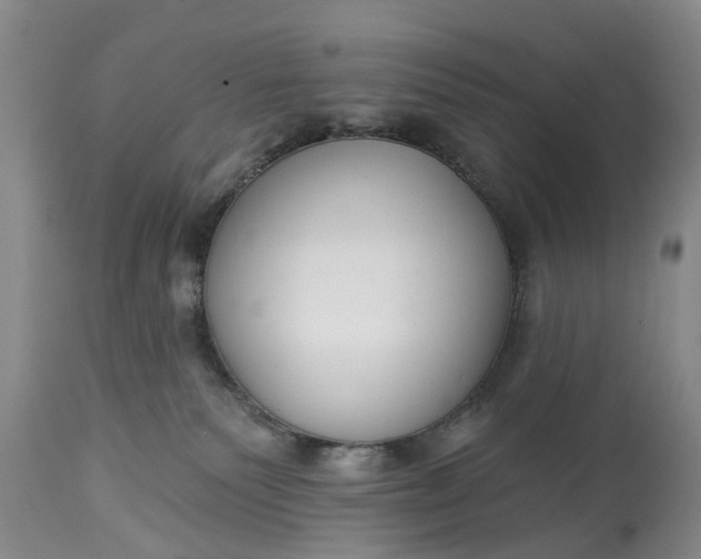 X0000114990135200911091344