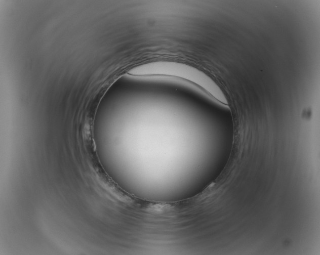 X0000114990137200911091344