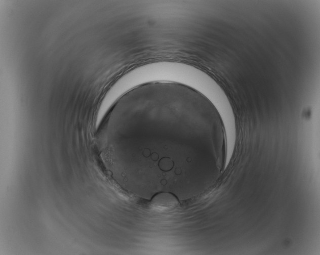 X0000114990139200911091344