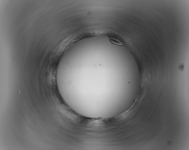 X0000114990140200911091344