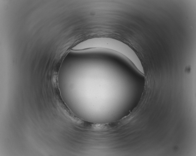 X0000114990141200911091344