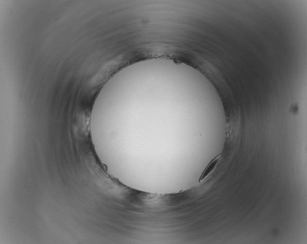 X0000114990142200911091344