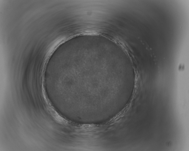 X0000114990145200911091343