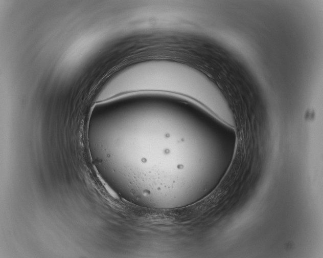 X0000114990146200911091343