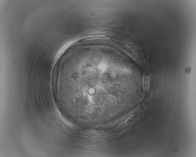 X0000114990147200911091343