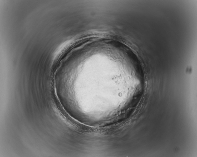 X0000114990149200911091343