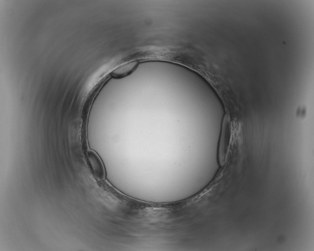 X0000114990150200911091343