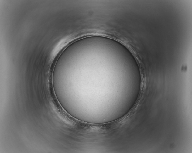 X0000114990151200911091343