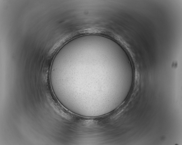 X0000114990153200911091343