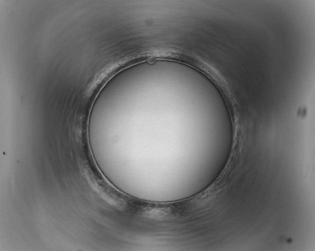 X0000114990155200911091343